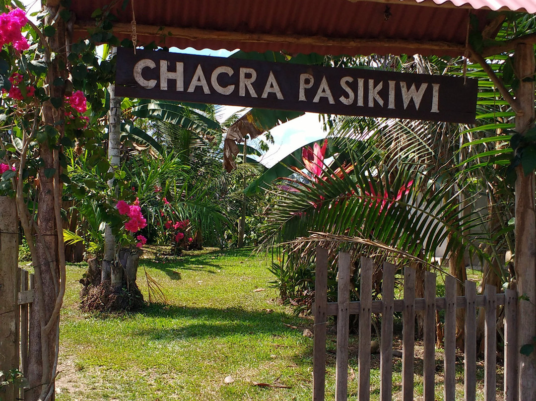 Chacra Pasikiwi景点图片