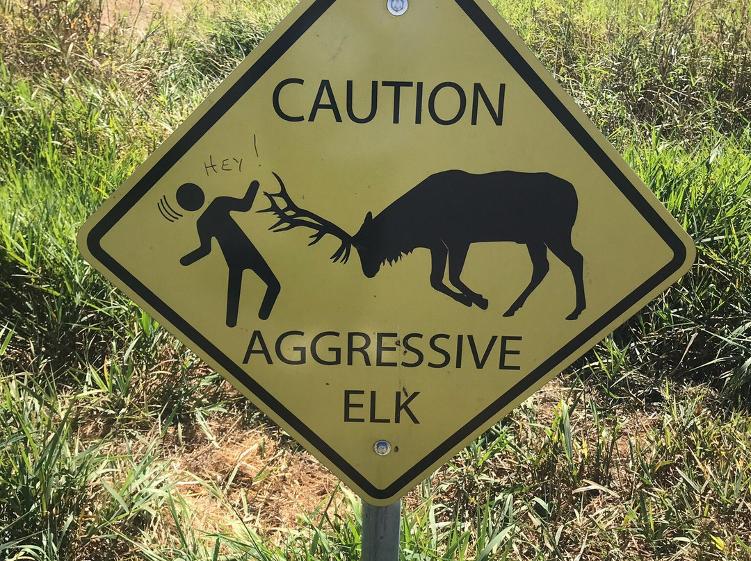 Elk Meadow Picnic Area景点图片