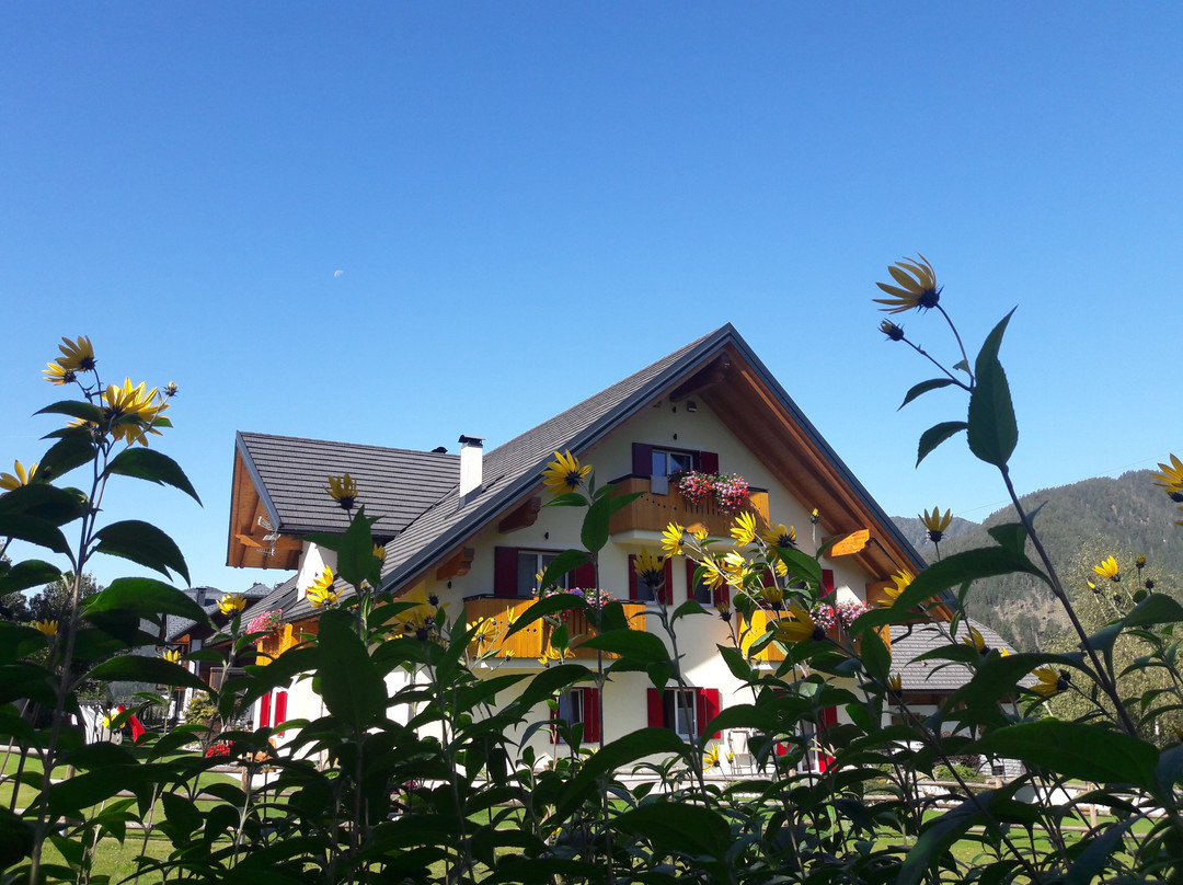 Camporosso in Valcanale酒店住宿-Al Buondi B&B Tarvisio