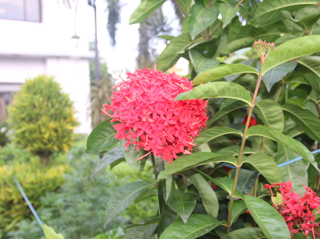 Hotel River Crown主图