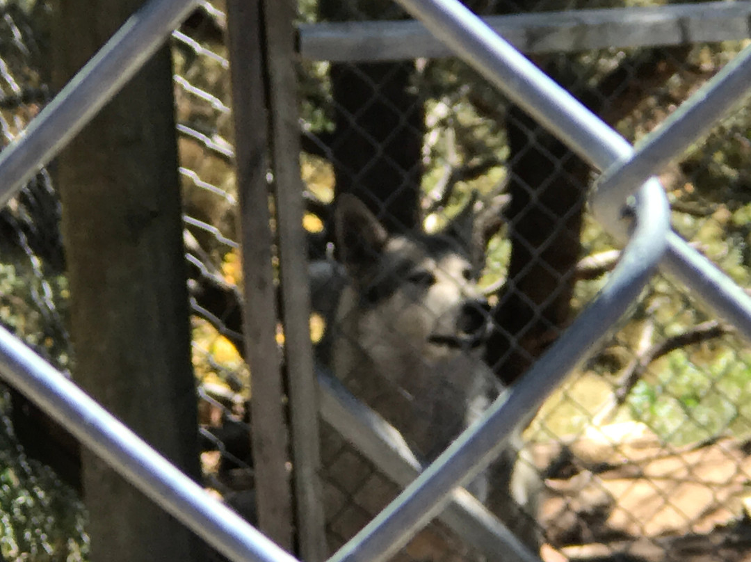 Mission: Wolf-Gardner必去景点