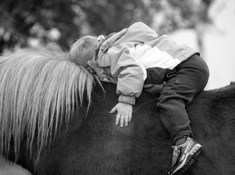 The Stables at Northeast Georgia-Carnesville必去景点