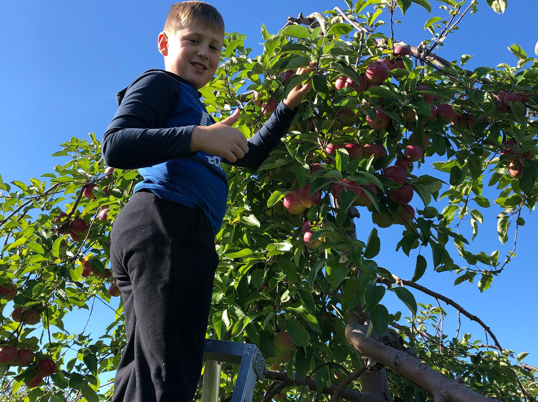 Les Vergers Lafrance-Saint-Joseph-du-Lac必去景点