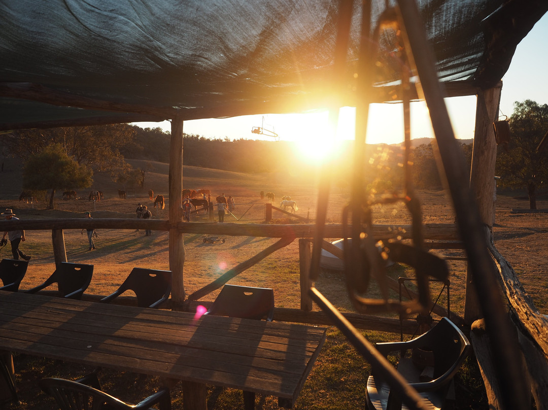 Leconfield-Mulla Creek必去景点
