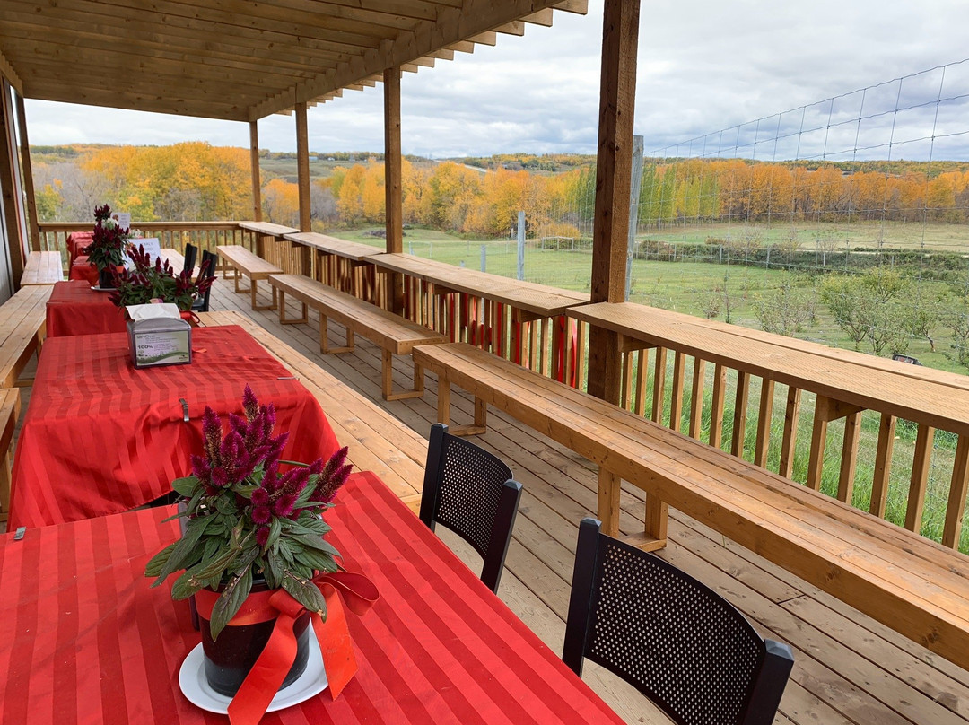 Petrofka Orchard-Waldheim必去景点