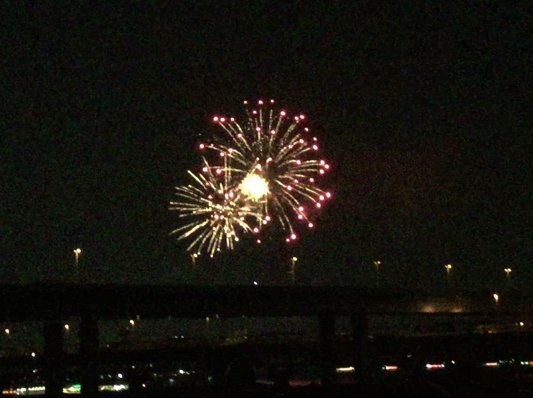 Koto Fireworks景点图片
