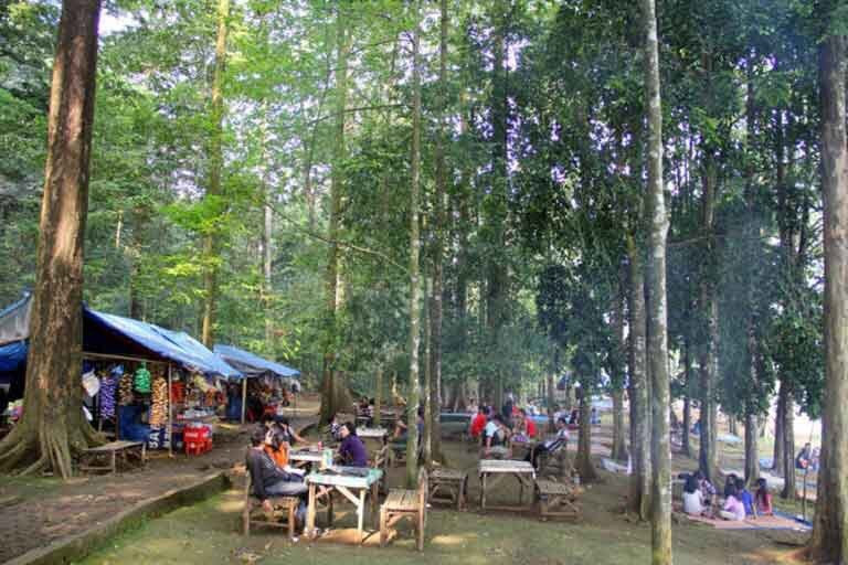 Situ Gede-Tasikmalaya必去景点