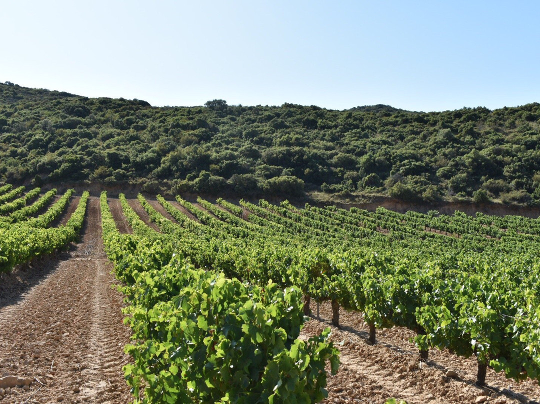 Bodegas Proyecto Unsi-Olite必去景点
