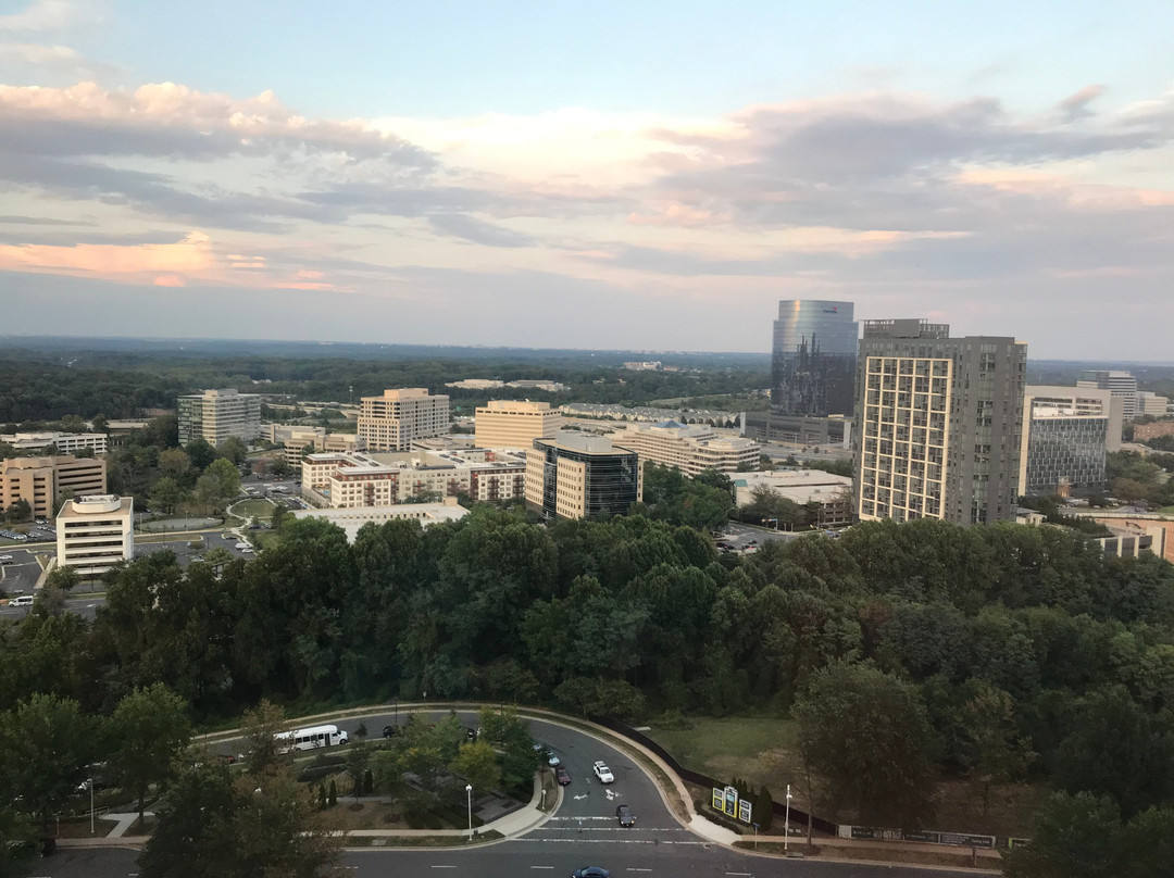 The Ritz-Carlton, Tysons Corner主图
