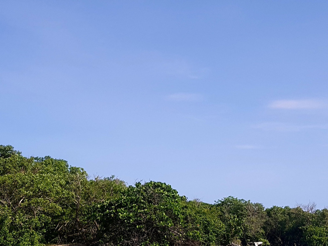 Albitours Cartagena-卡塔赫纳必去景点