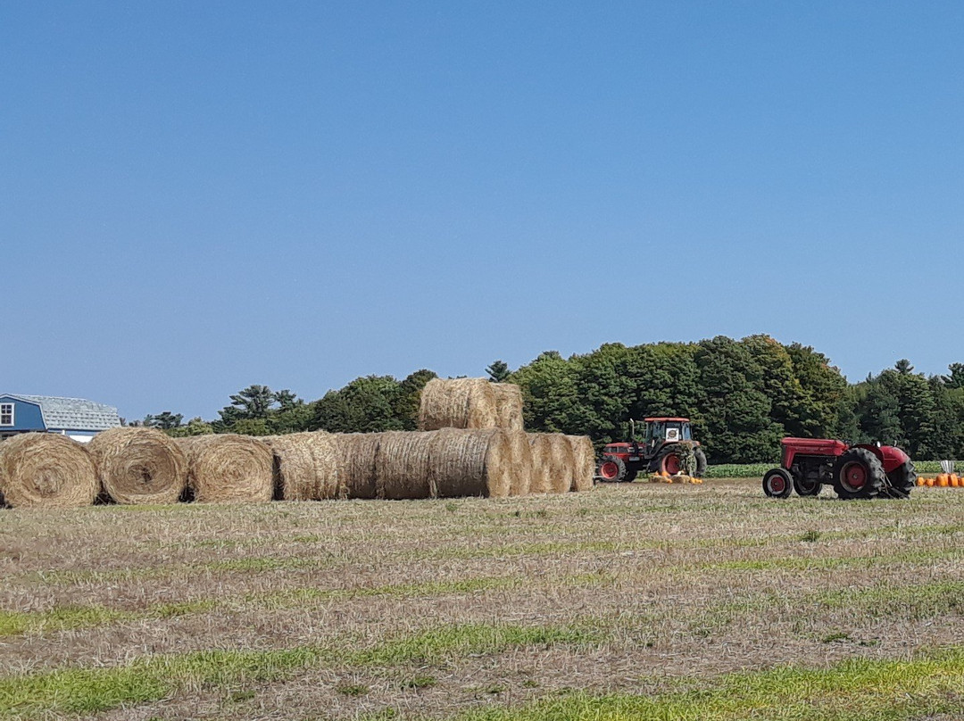 Miller's Bay Farm景点图片