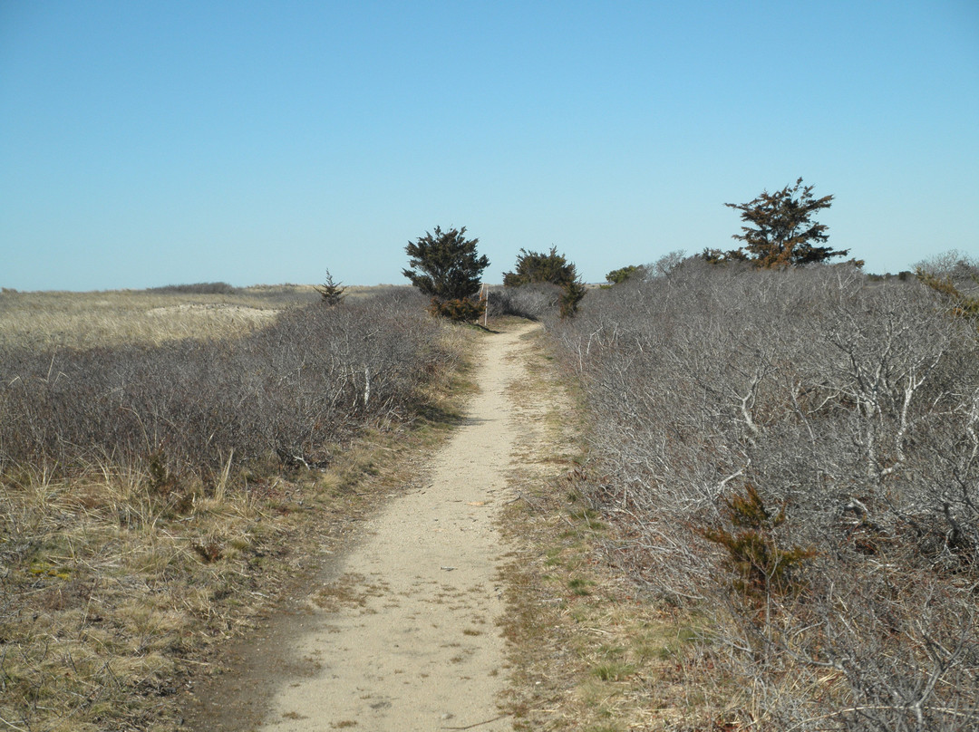 South Cape Beach State Park景点图片