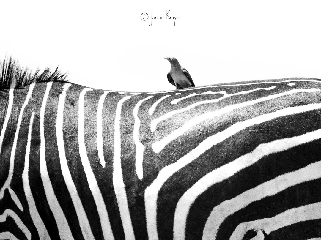 null-南卢安瓜国家公园