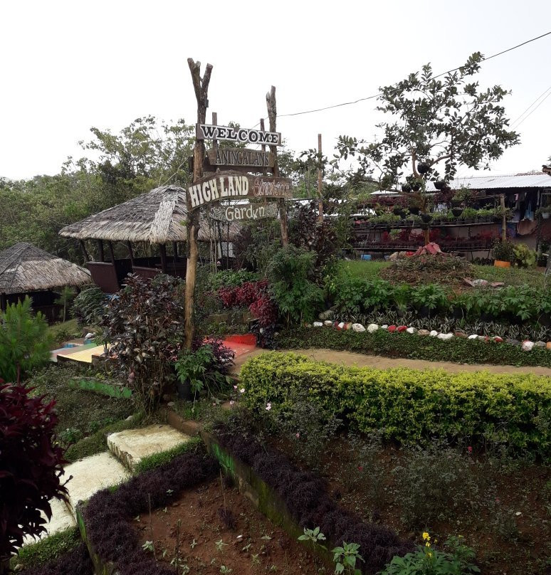 Aningalan Strawberry Farm景点图片
