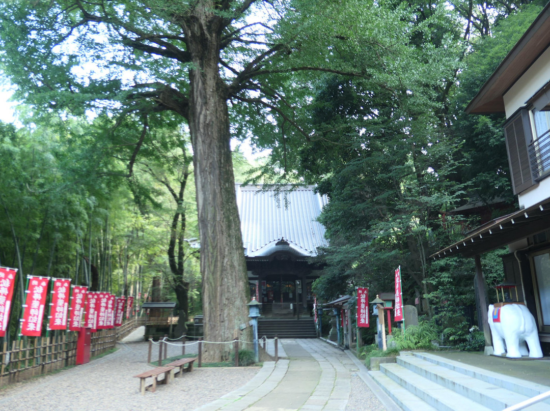 Notsuda Yakushido-町田市必去景点