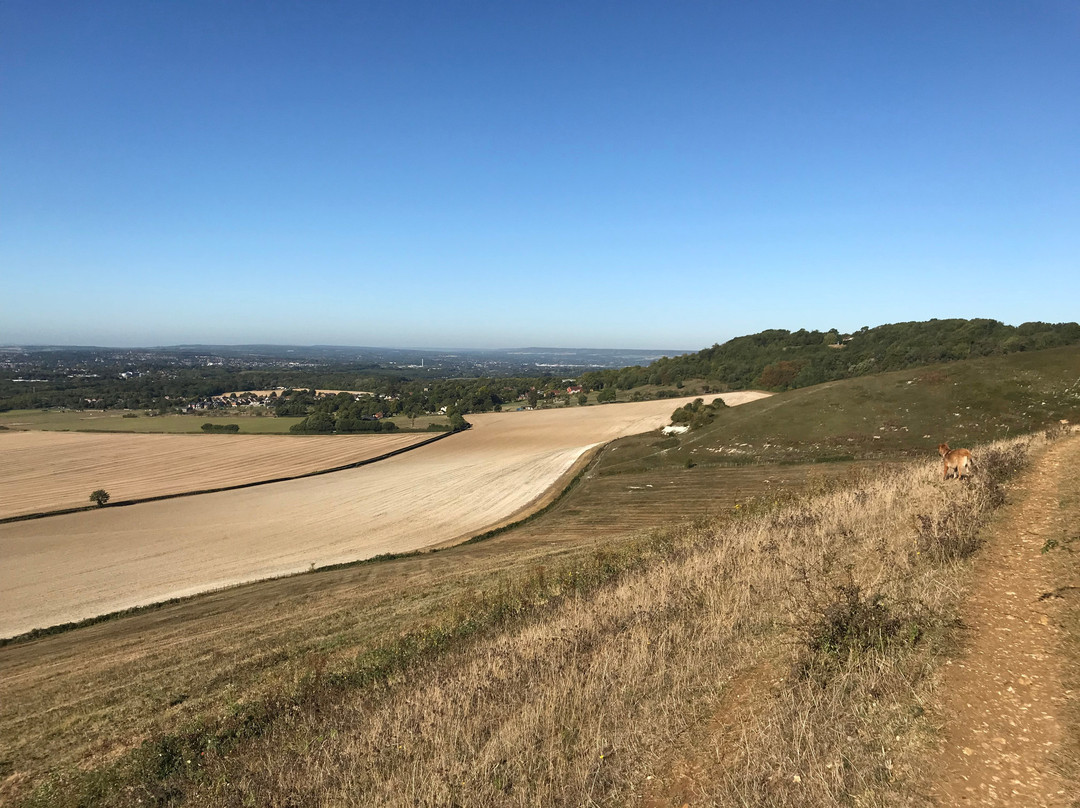 White Horse Wood Country Park景点图片