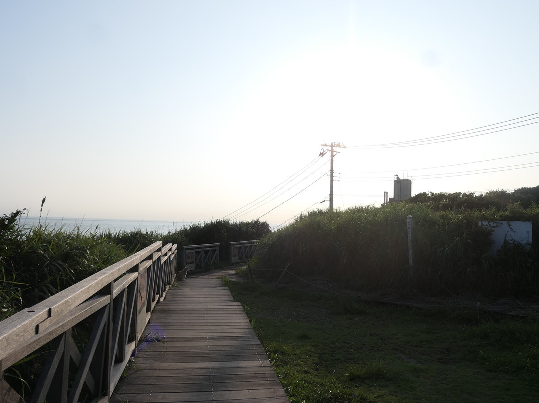 Jogashima Lighthouse景点图片