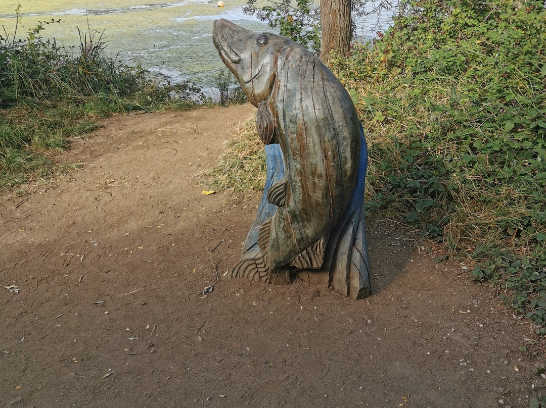 Rushden Lakes Shopping Centre景点图片