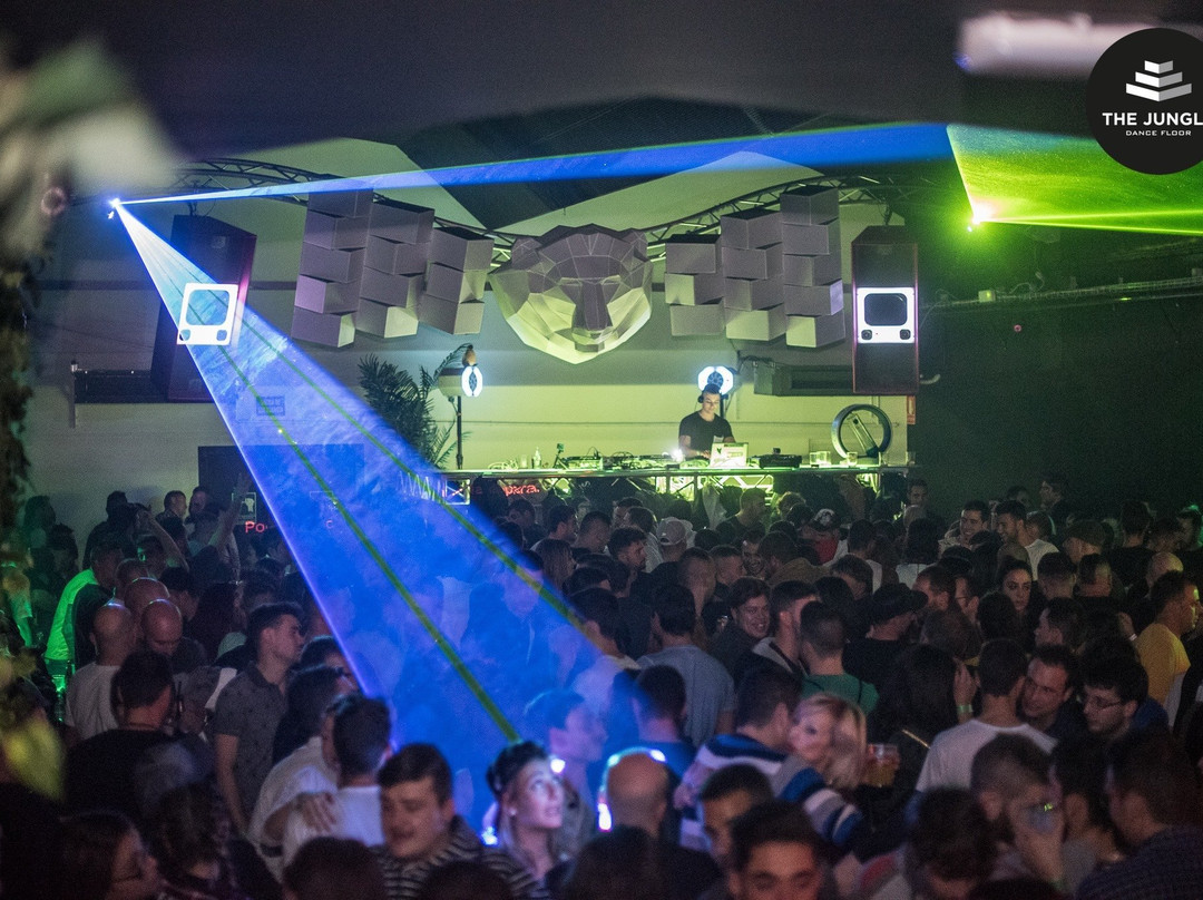 The Jungle Dancefloor