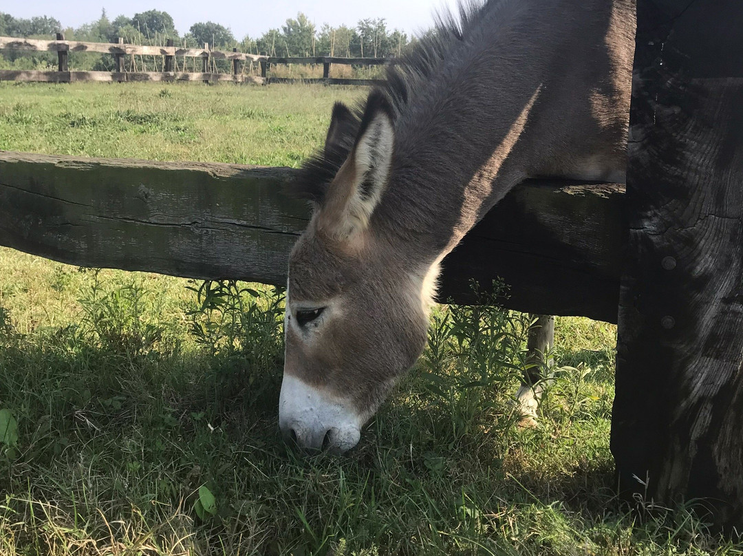 Tenuta Antico Monastero主图