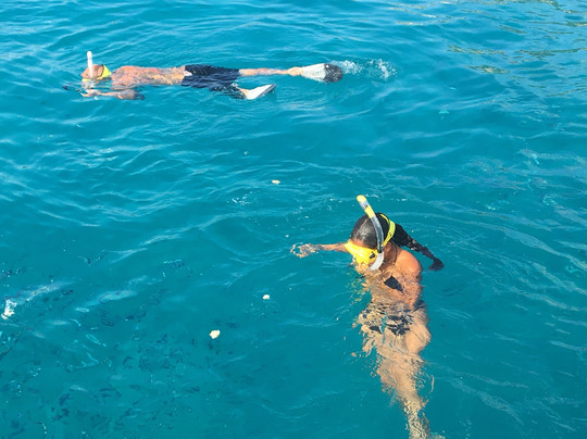 Shark Escursioni-帕劳必去景点