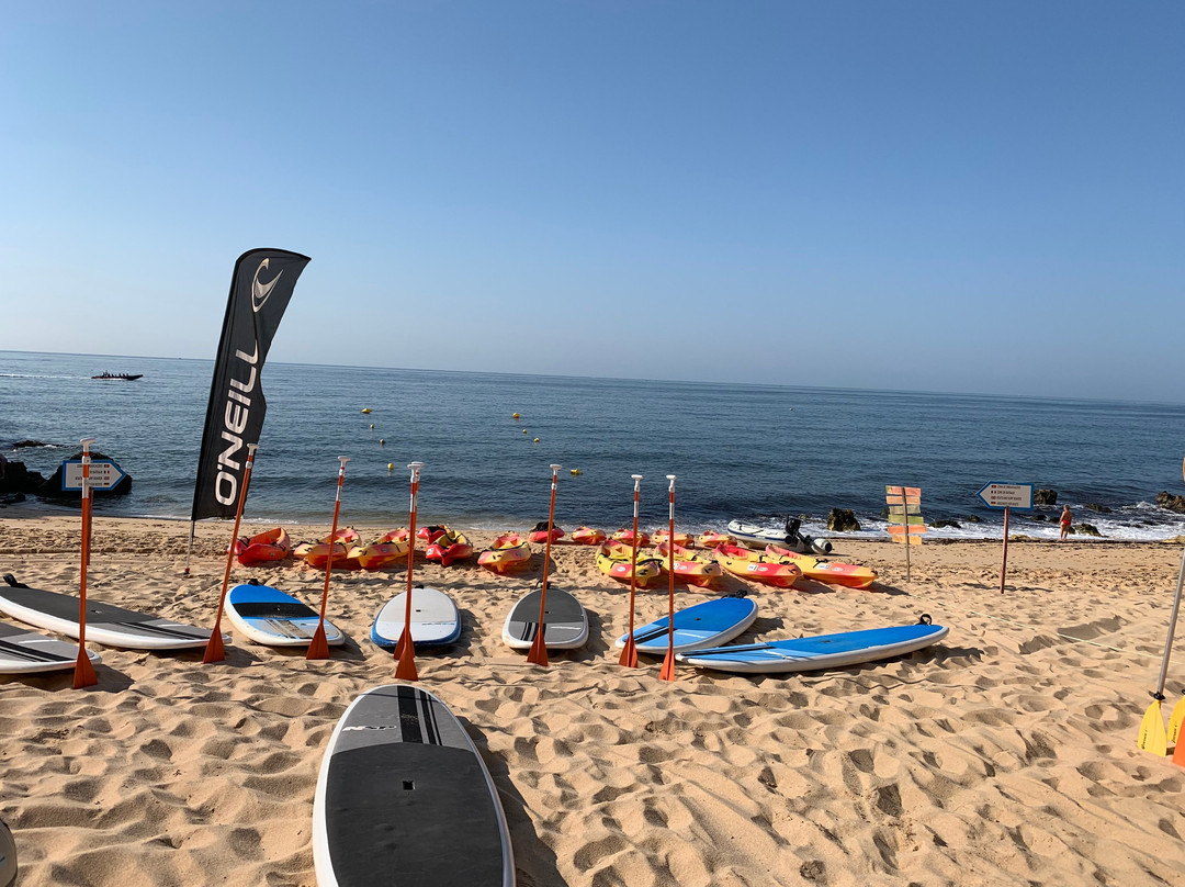 Albufeira Surf & SUP景点图片