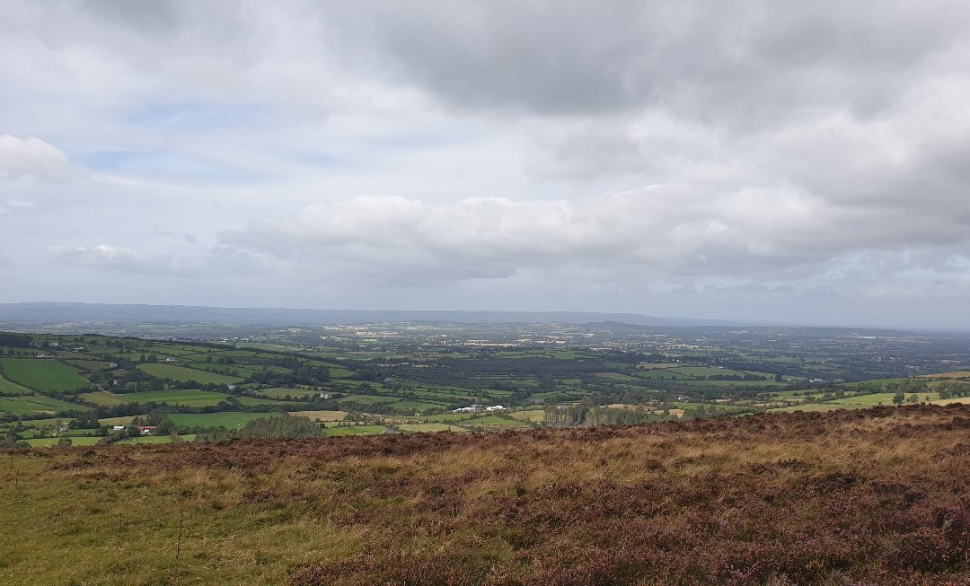 Mount Leinster-Bunclody必去景点