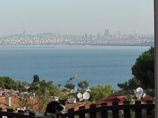 Elisa Butik Otel主图