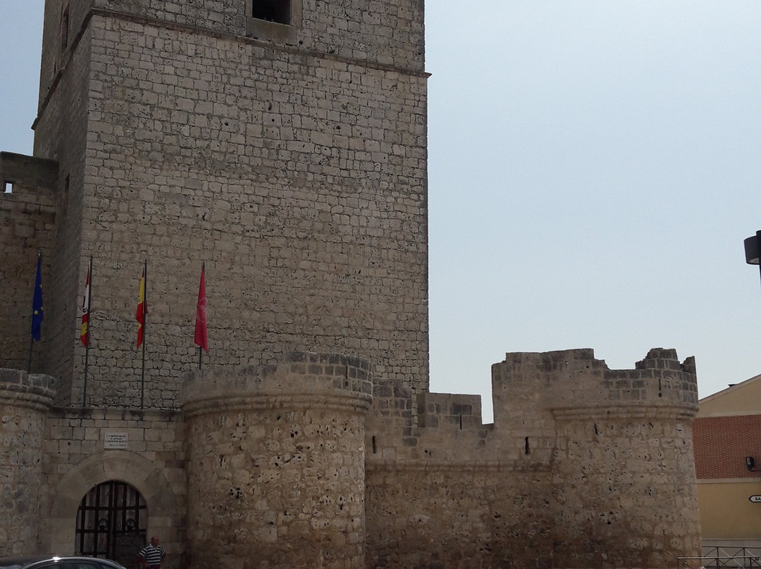 Castillo de Portillo景点图片