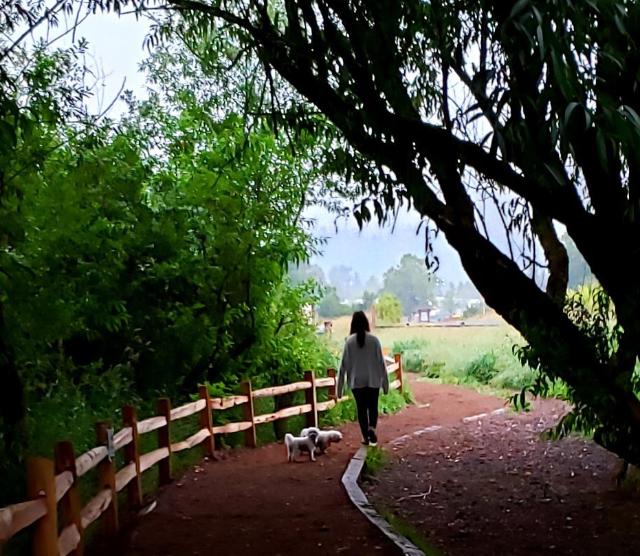 Marymoor Park-雷德蒙德必去景点
