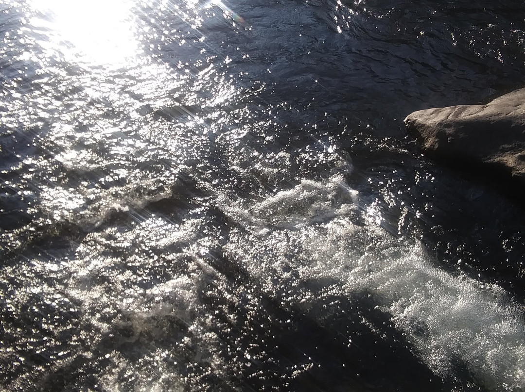 Sonoma Falls-Livingston Manor必去景点