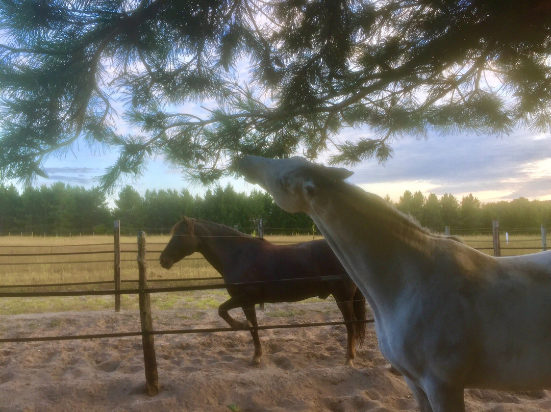Grace Grange Lodge and Stable主图