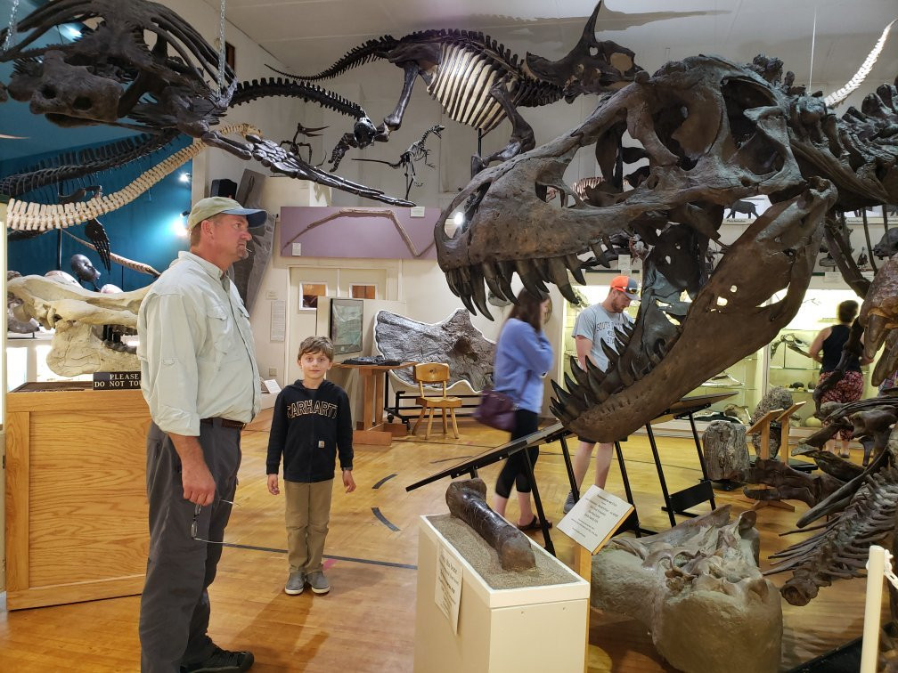 The Museum @ Black Hills Institute景点图片