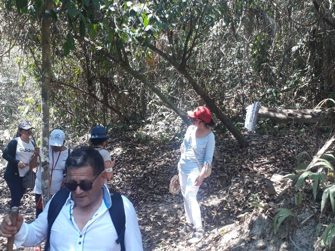 Shanay Timpishka-Pucallpa必去景点