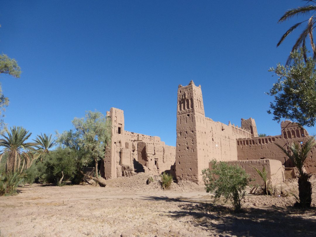 desert morocco discovery-扎古拉必去景点