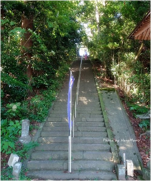 Chogaizan Omonoimi Shrine景点图片