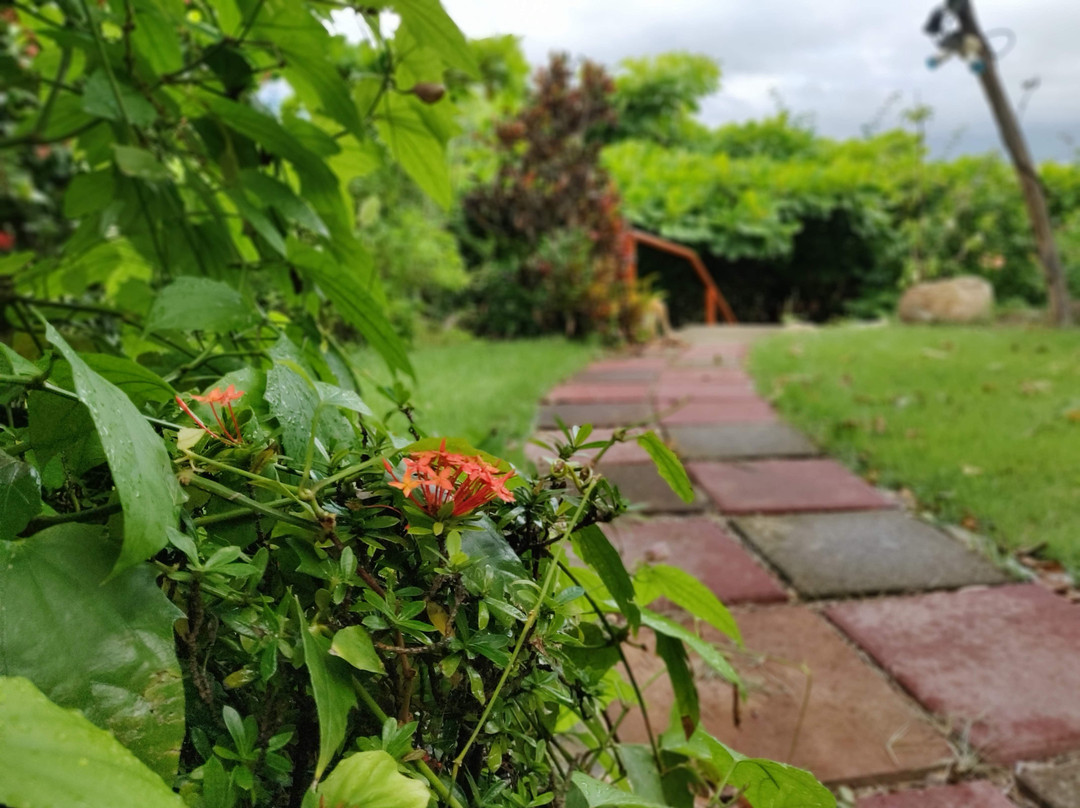 Blue Dream Kiteboarding Resort主图