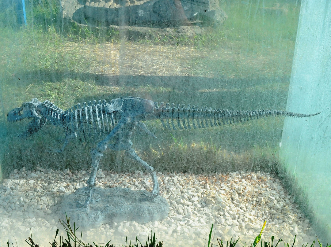 Parco Paleontologico Dinosardo-奥里斯塔诺省必去景点