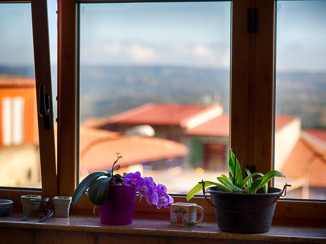 Sopra Le Laure B&B主图