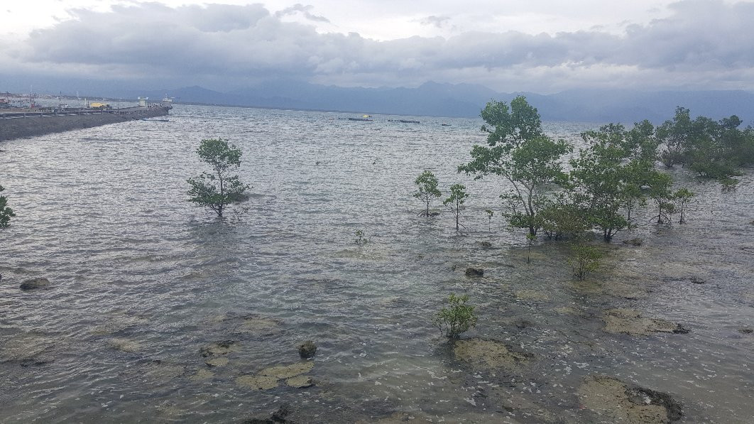 Seasta Beach Resort主图