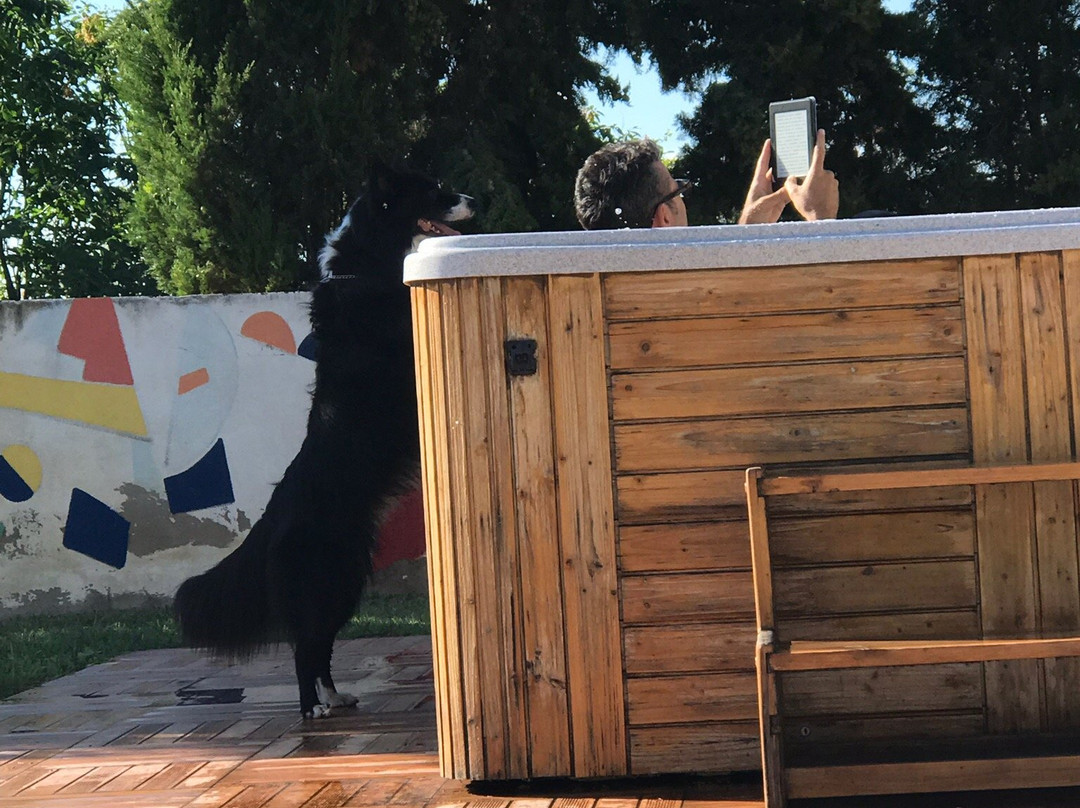 乡村酒店套房主图