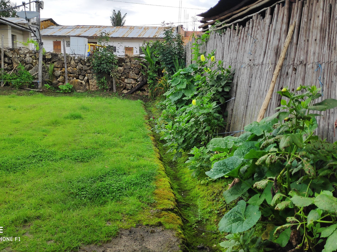 Hospedaje Pension Las Orquideas De Yumbilla主图