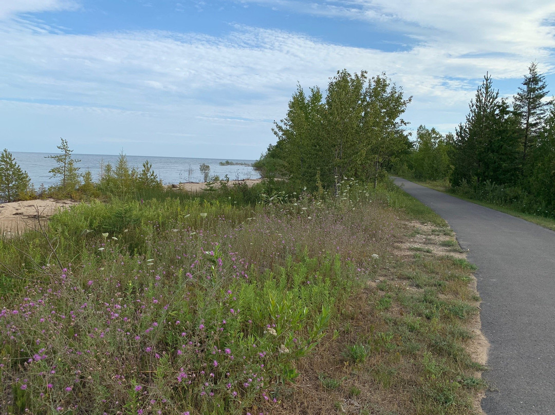 Northshore Motel主图