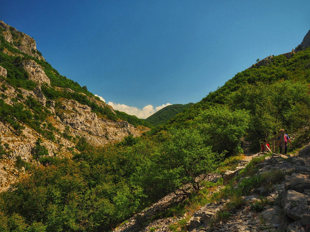 Riserva Naturale della Val Rosandra景点图片