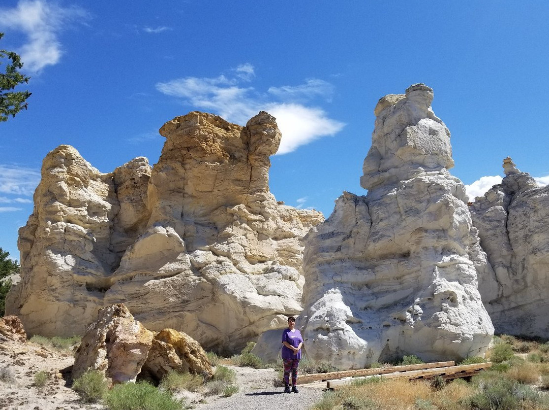 Castle Gardens Petroglyph Site-Riverton必去景点