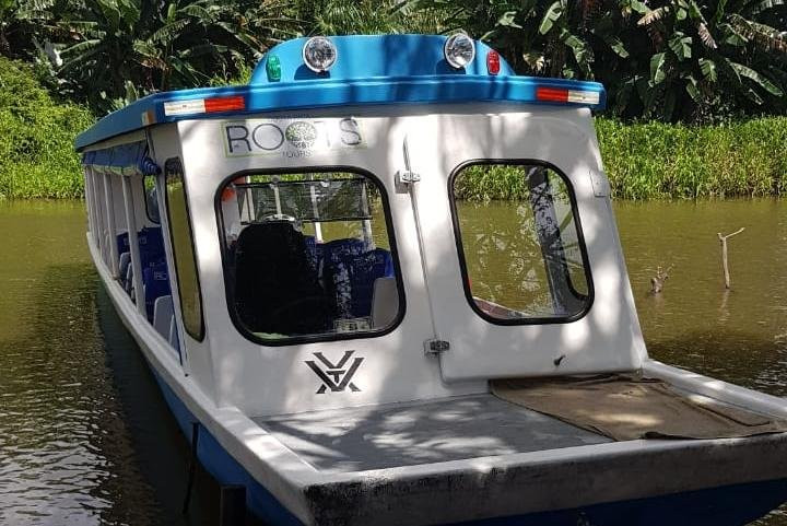 Costa Rica Roots Shuttle景点图片