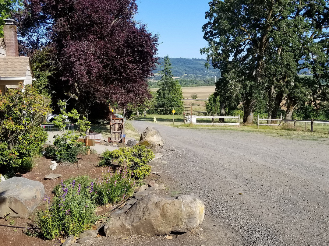 Plum Hill Vineyards-Gaston必去景点