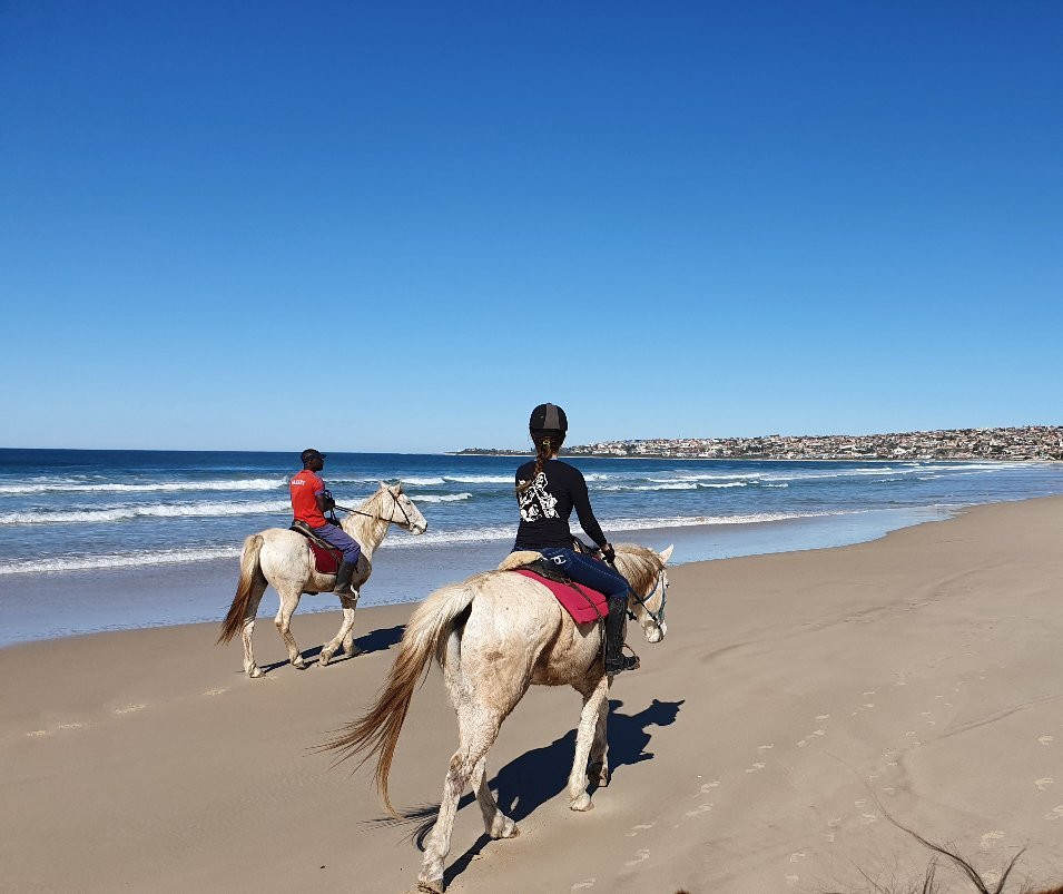 Featherfoot Beach Horse Trails & Riding School景点图片