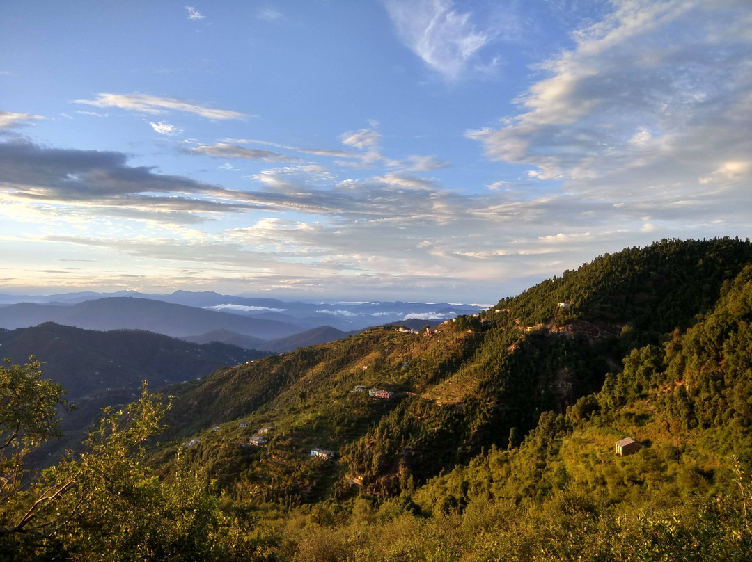 Pailaaag orchard & Restaurant主图