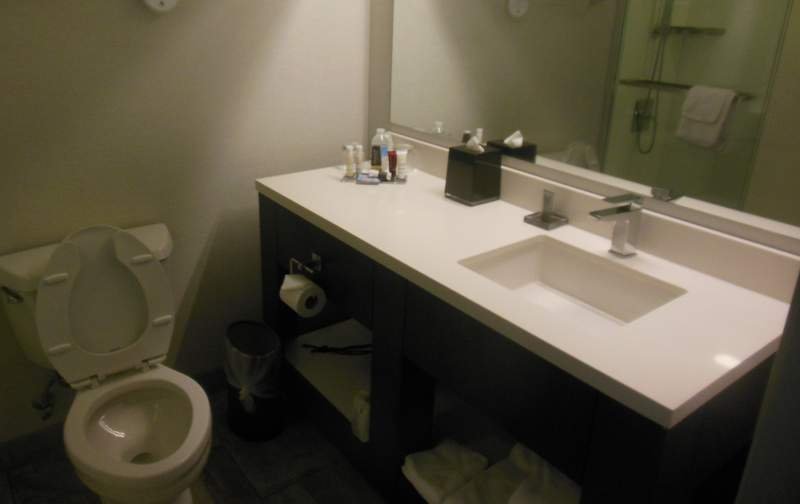 Marriott Cincinnati Airport-浴室